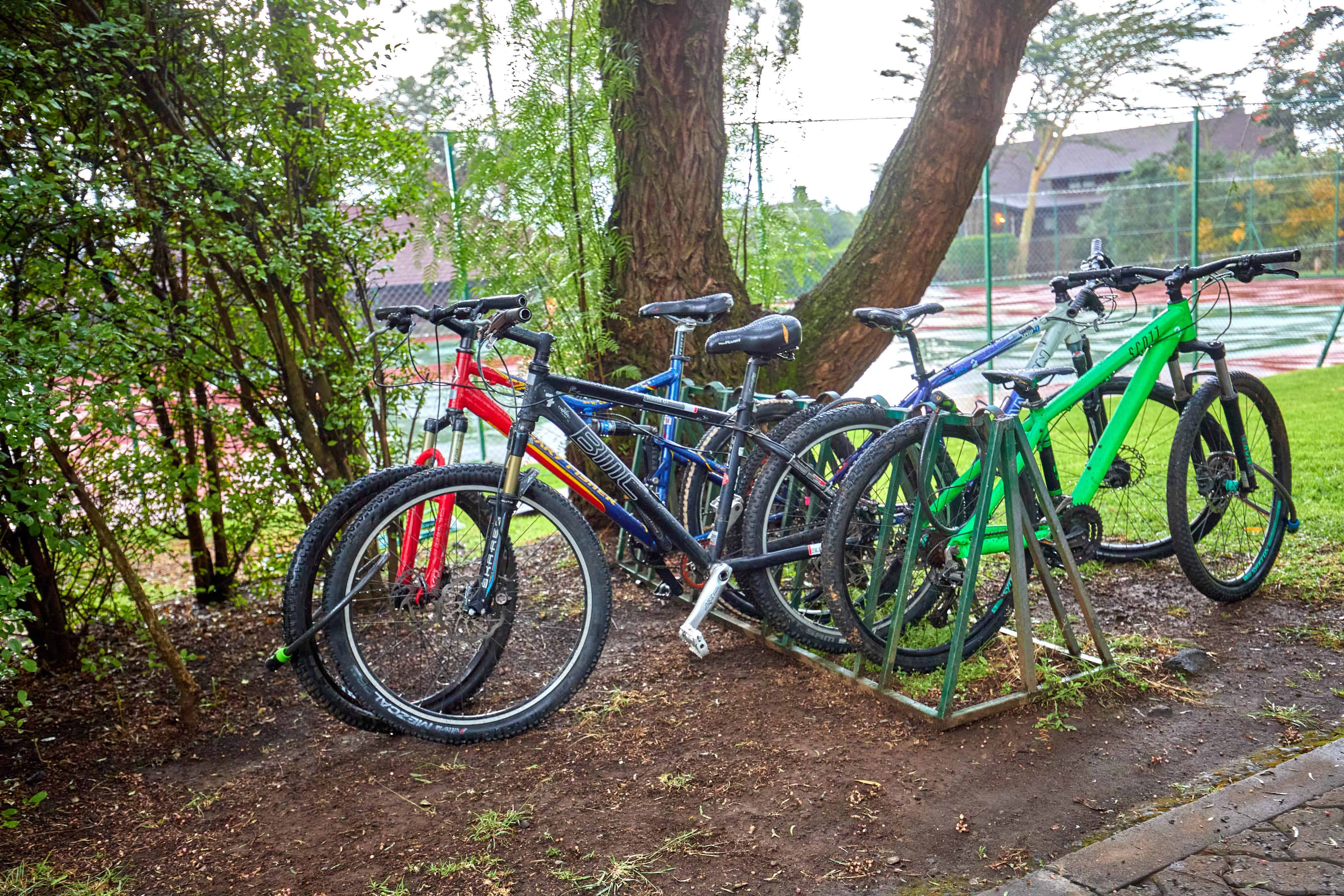 Multiple bicycles parked in bike rack with tennis court in background