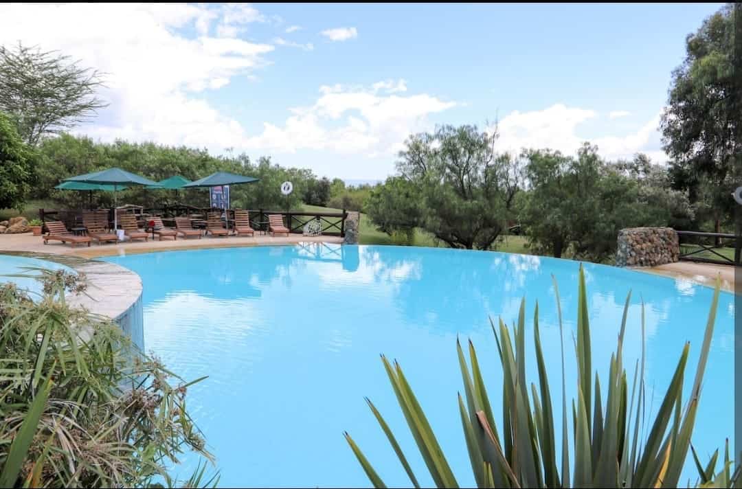 Beautiful daytime pool view with lounge chairs and tropical landscaping